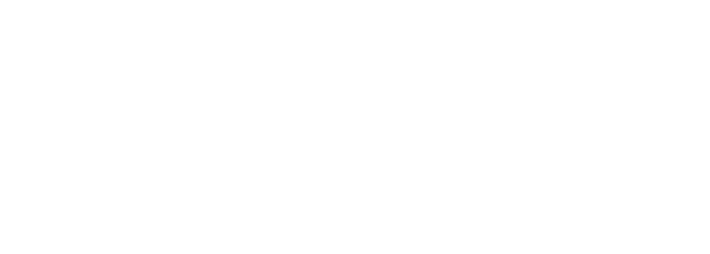 NordischRoh Logo Weiss